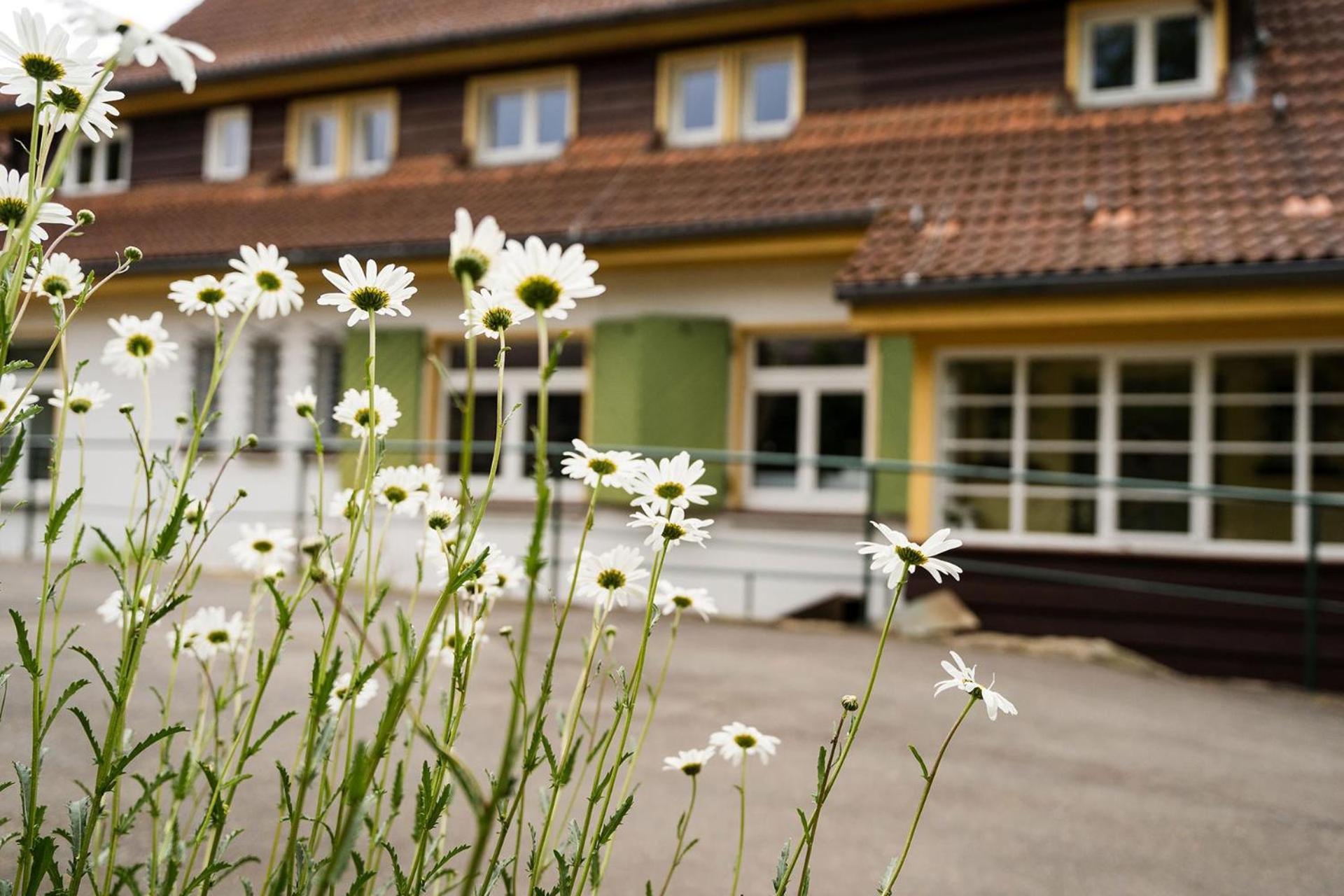 Pension Zum Hexenstieg Schierke Luaran gambar